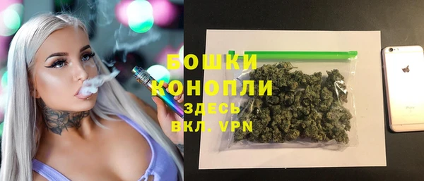 МДПВ Няндома