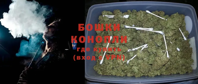 Канабис OG Kush  магазин продажи   Змеиногорск 